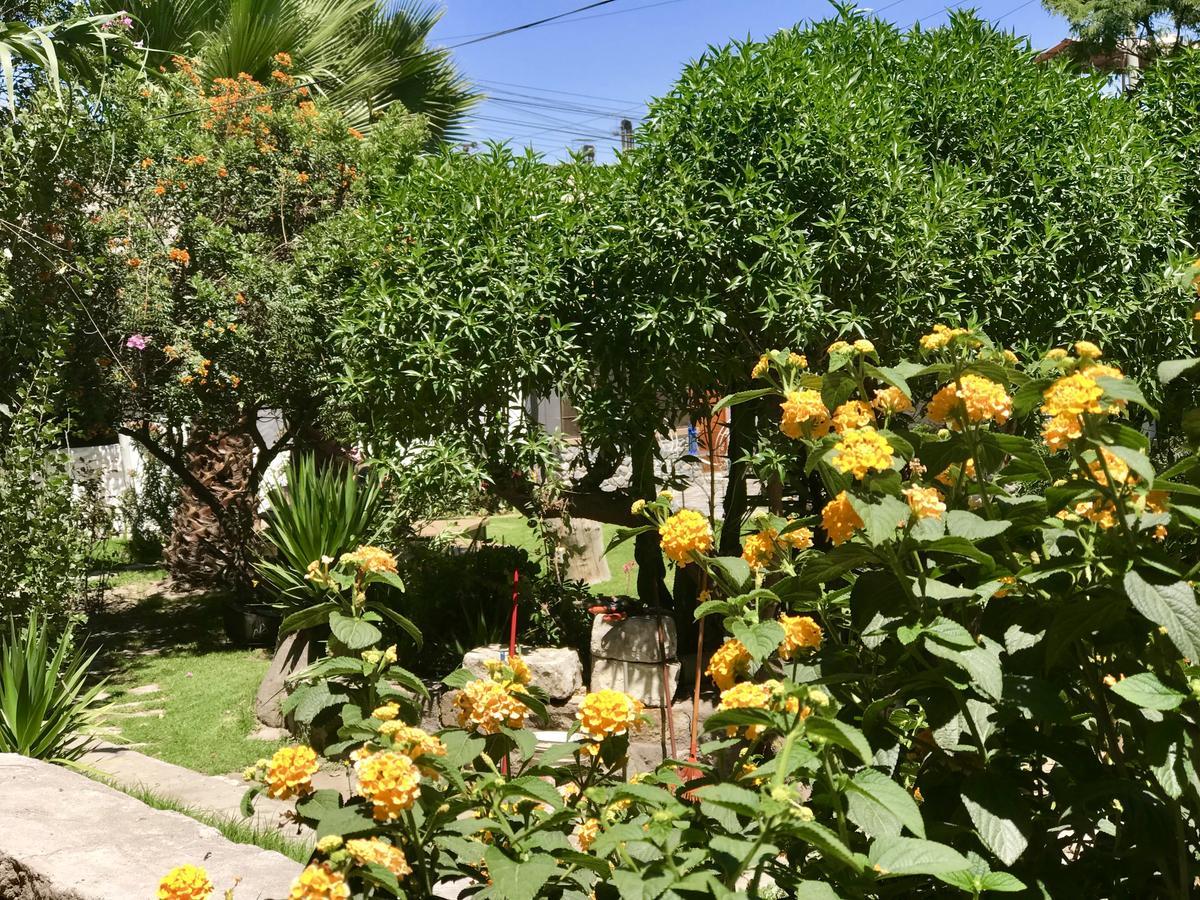 Grace Valley Hotel Arequipa Exterior foto