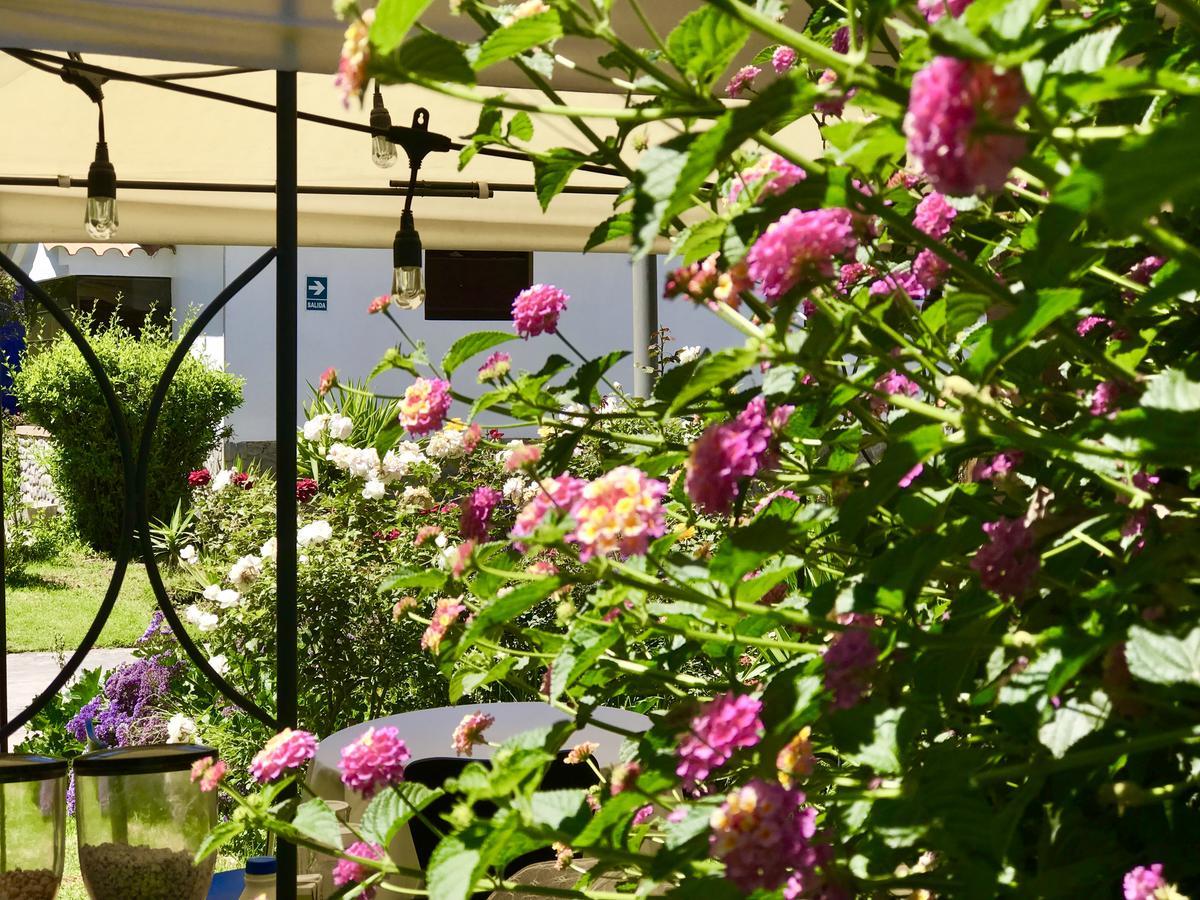 Grace Valley Hotel Arequipa Exterior foto